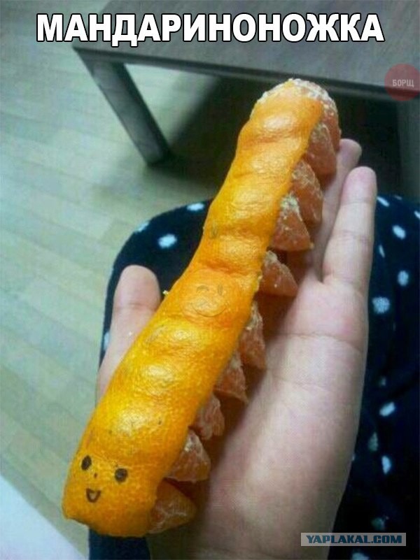 Новые трудовыебудни