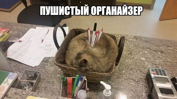 Весёлые картинки в чёрной рамке