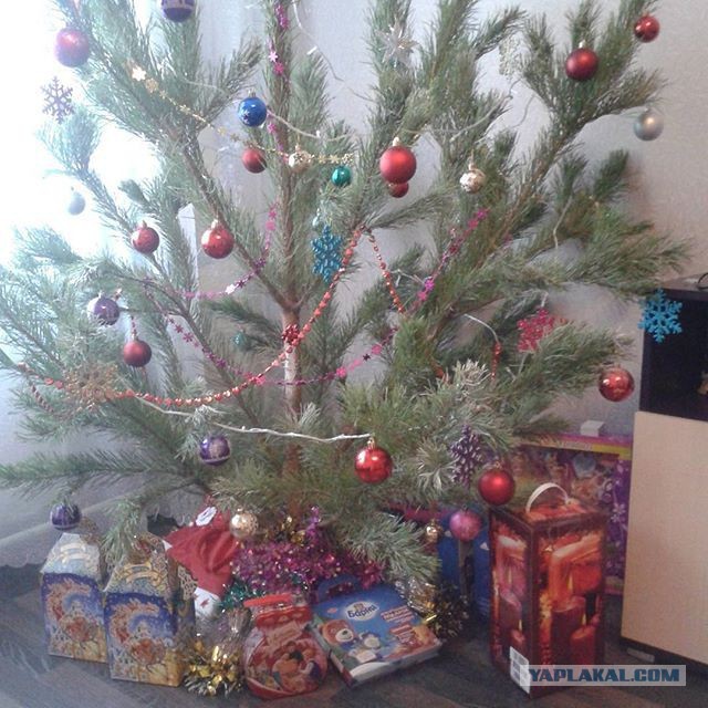 Утро 1 го января