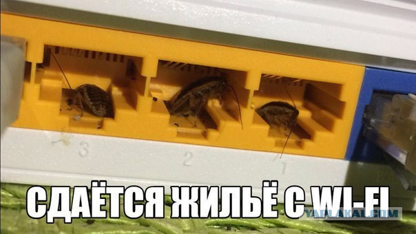 Картинки из вацапа
