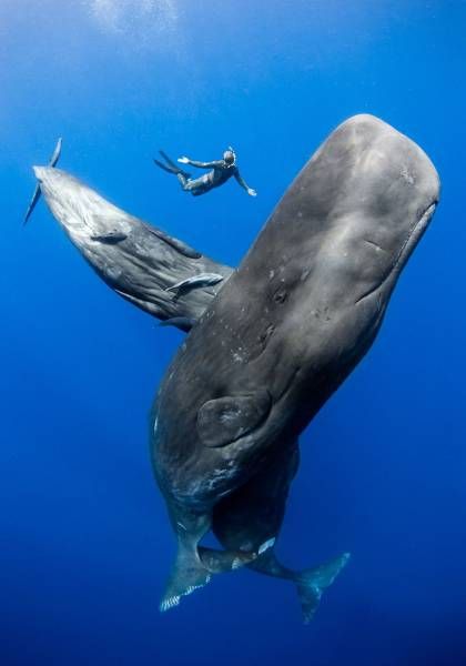 Подборка интересных и веселых картинок