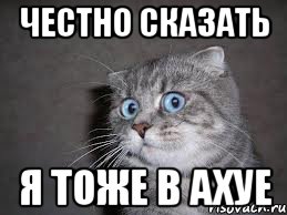 Купил коту вкусняшку в Пятерочке