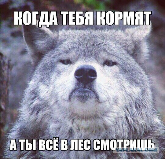 Подборка интересных и веселых картинок