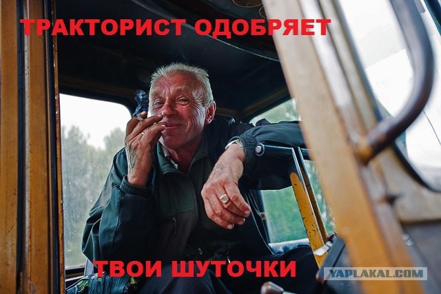 Минэкономразвития сообщило о "насытившейся" сыром России