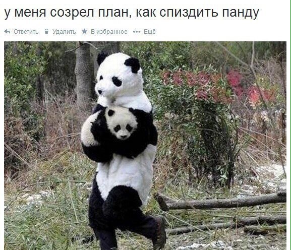 Порция картинок из сети