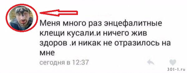 Подборка интересных и веселых картинок