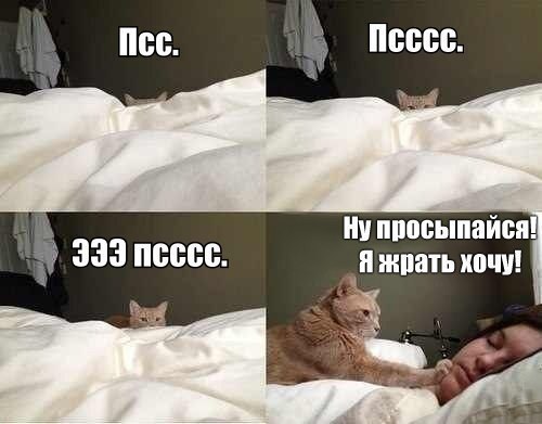 130 картинок для поднятия настроения!