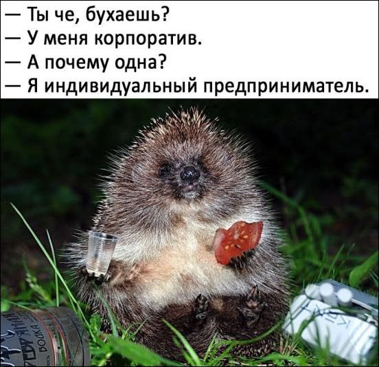 Всякая всячина