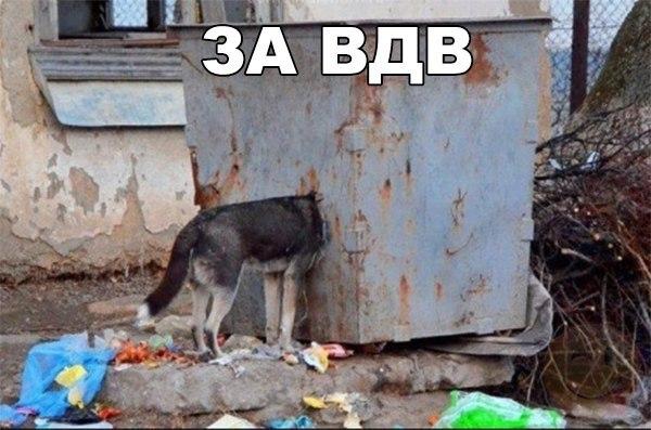 Журнал деградант