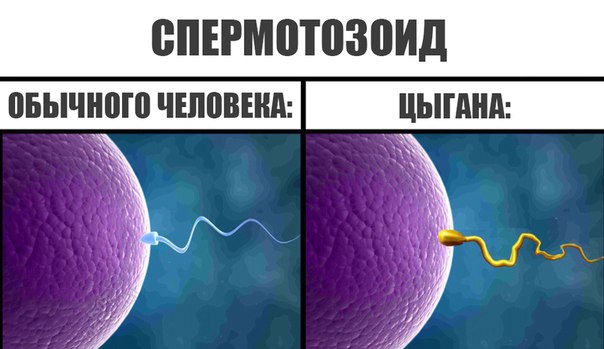 журнал деградант