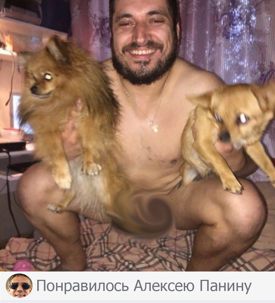 Скотсети и прочие интернеты 26.03.18