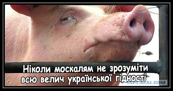 Планы Китая в отношении России