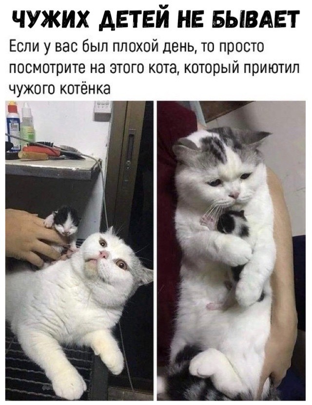 Прикольные картинки абавсём