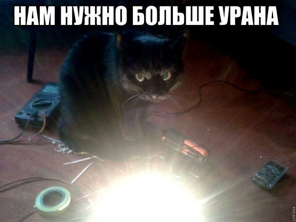 Коты с уранового рудника, надо больше урана!