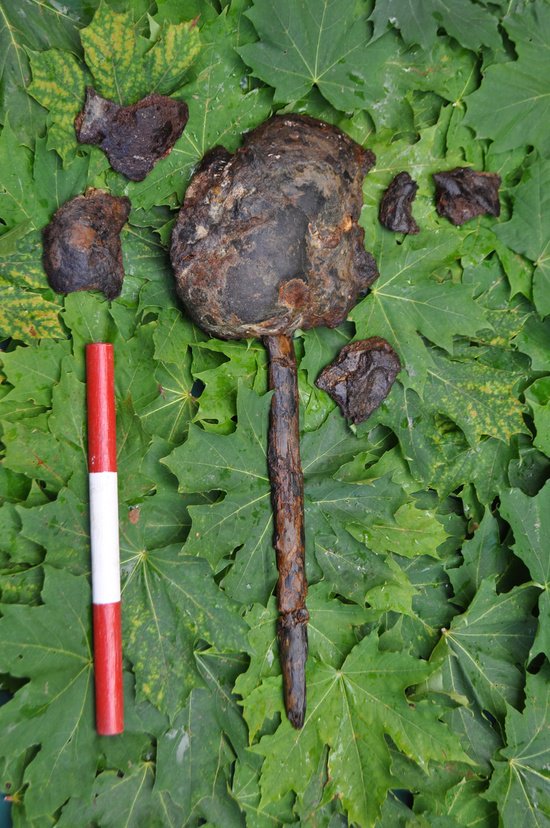 Учёные нашли останки мужчины, жившего 8000 лет назад на территории Швеции, и восстановили его внешность