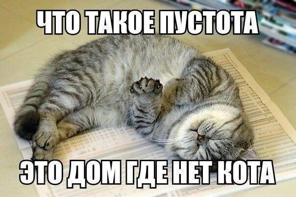 Чуток картинок 01.07.20
