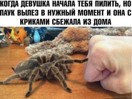 Юмор в картинках 5.10.20