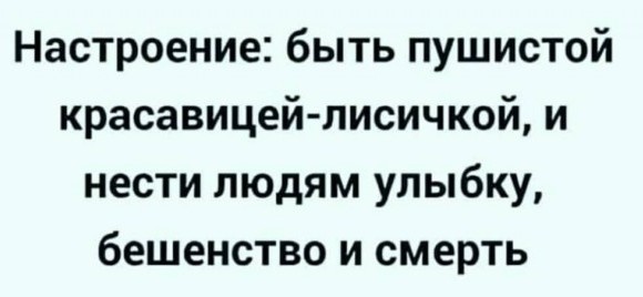 Встреча с «милым» ёжиком