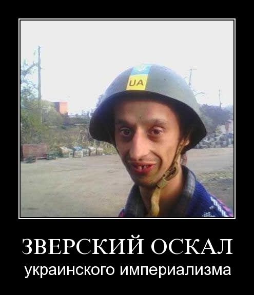 Воспоминания диванного воина о русско-украинской войне