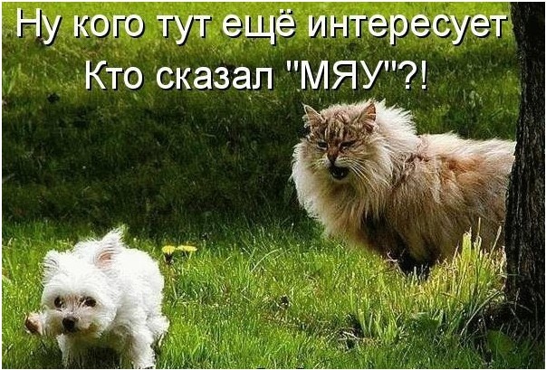 Жив? Мертв?