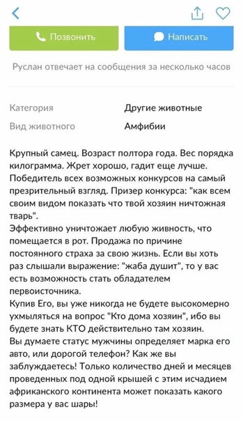 Баянисто-небаянистый юмор 03.02.21
