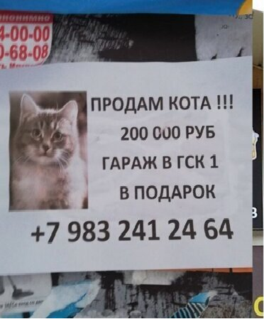 Перлы 08.02.2021