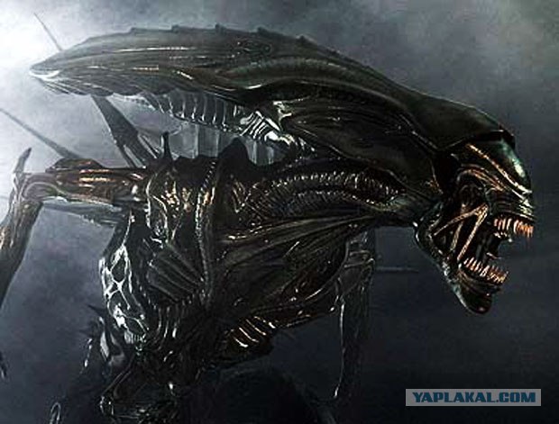 Пиротехнический фэйл в Сан Диего