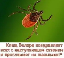 Как отдохнуть на природе несколько дней (нужны советы)