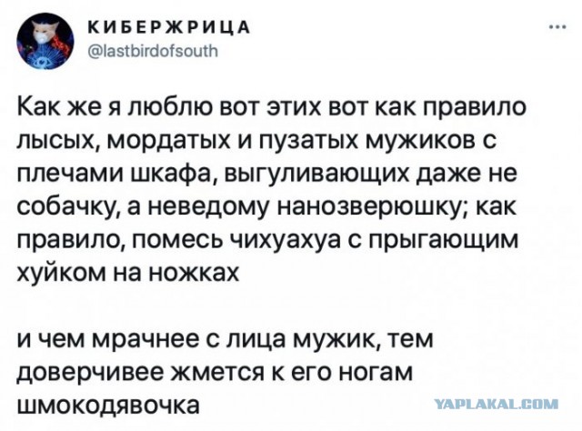 Картинки и мемы для настроения 09.06.2021