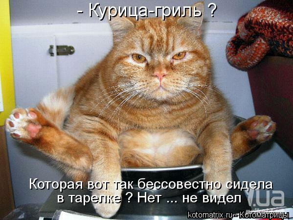 Весёлый полтишок 21.06.2021