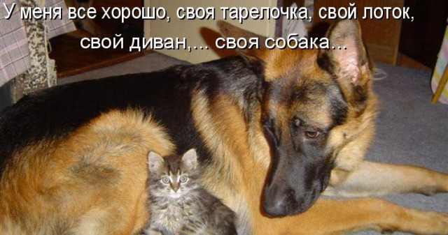 Картинки и мемы для настроения - 107