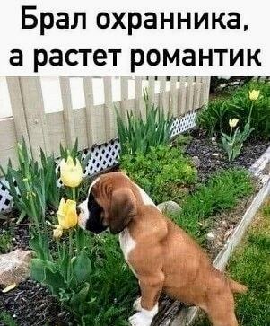 Картинки и мемы, всем хороших выходных