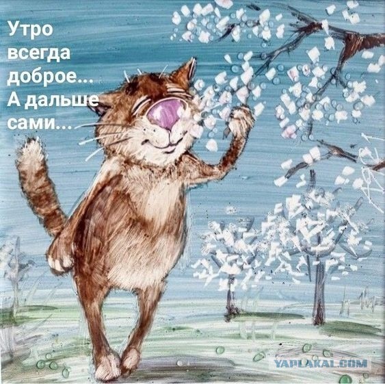 Последствия, с которыми может столкнуться мужчина, решивший создать семью с разведенной