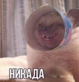 Да когда же вы нажретесь?!