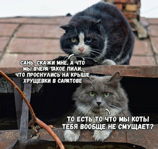 Юмор в картинках и без