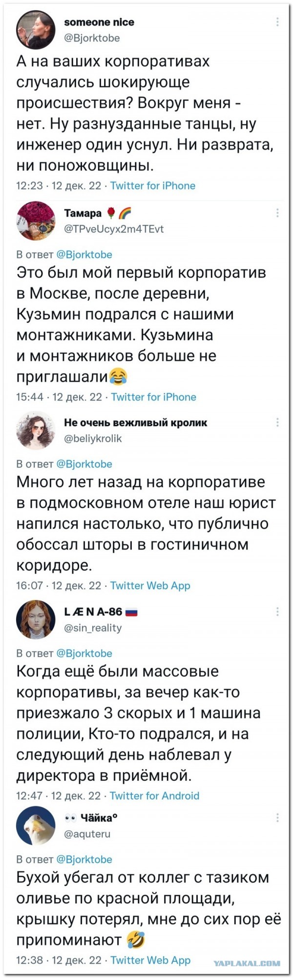 Забавные комментарии из социальных сетей 26.12.22