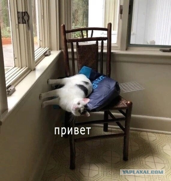 Женился на девственнице и пожалел!
