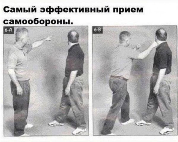 Свеженькие бояны