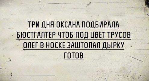 Весёлый полтишок 08.09.23