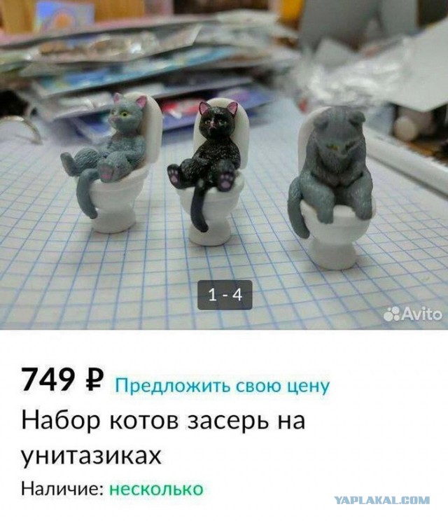 Так себе картинки 27.09.2023