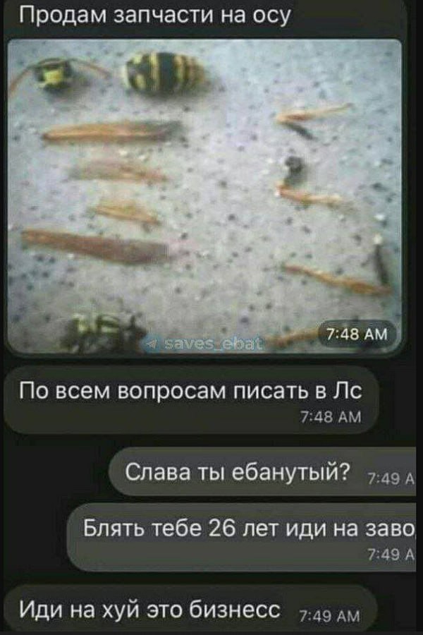 Всего понемногу. От 09.10.23
