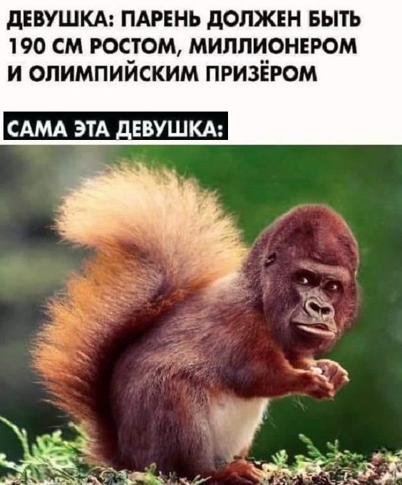 Картинки разные с надписями и без