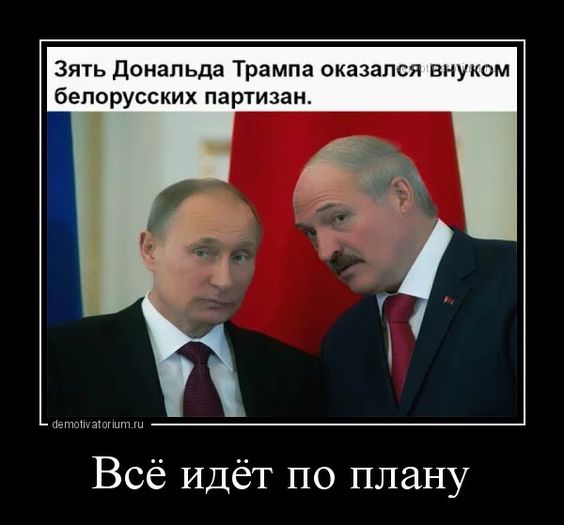 Прикольные и просто красивые картинки 22.10.2024