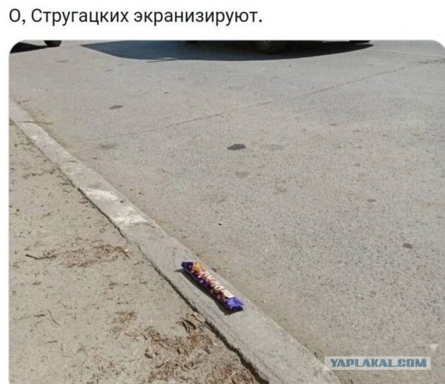 Так себе картинки 08.12.24