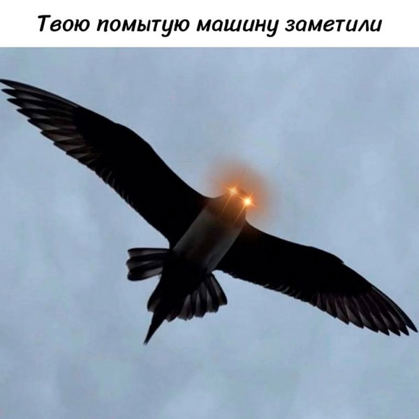 Пятниццо-баяниццо