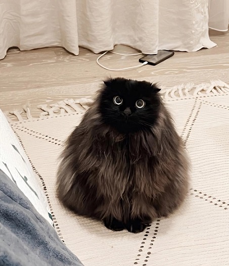 У меня муж дома