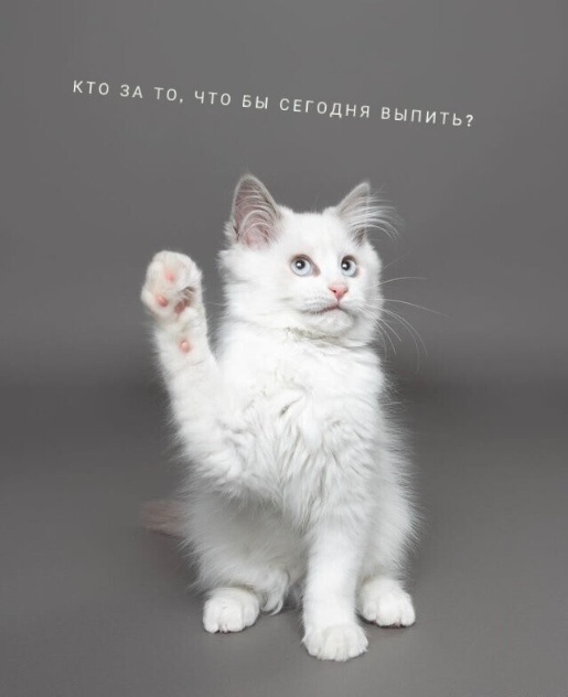Так всякие картинки 02 05