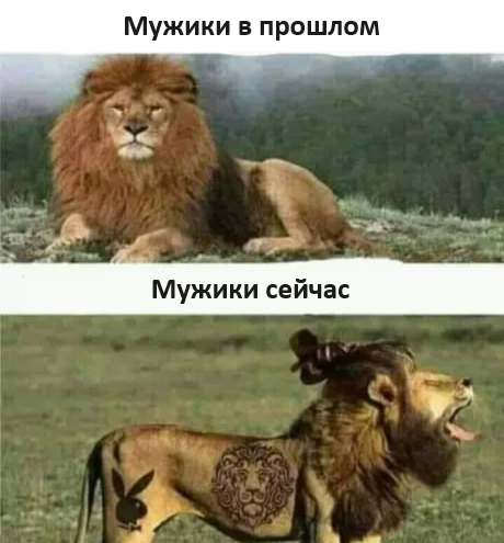 Тоже хочу высказаться