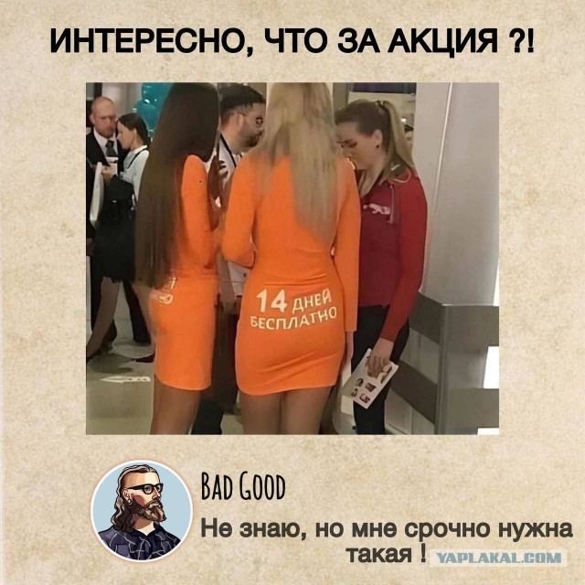 Забавные и не очень скромные картинки - 17