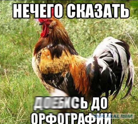 Развеиваем миф, что в СССР вдоволь-то и не ели и сравниваем с современностью